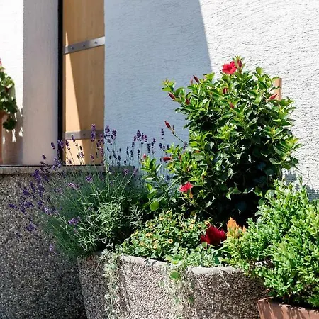 Rozna Dolina Apartment Ljubljana